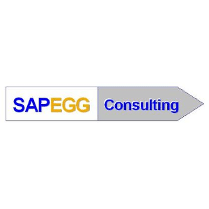 SAPEGG Consulting GmbH